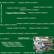 Happy Winter Solstice