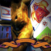 Medical Etymology - Pillars Of Knowledge