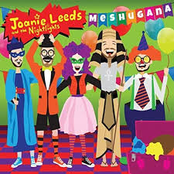 Joanie Leeds and the Nightlights: Meshugana