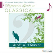 Birds & Flowers
