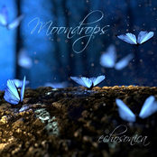 Moondrops
