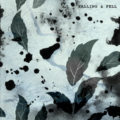 Falling and Fell