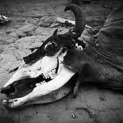 Killing Lazarus - Dead In The Water - LP - 2012