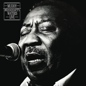 Nine Below Zero by Muddy Waters