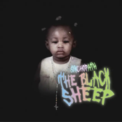 THE BLACK SHEEP