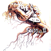 KSHE 95 Seeds Vol. II