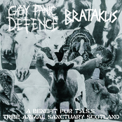 TASS - Gay Panic Defence//Bratakus Split
