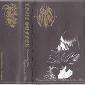 Echoes of the Past, Forgotten in the Ashes