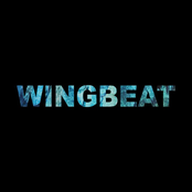 WingBeat
