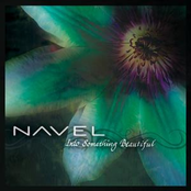 Into Something Beautiful