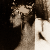 Songs to My Identical Twin