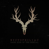 Dark Side Of The Mental