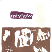 Minnow