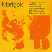 Jelani Aryeh: Marigold
