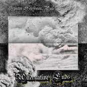 Alternative Ends