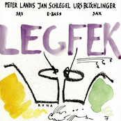 legfek