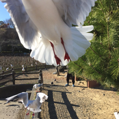 Brighton Dome 301025