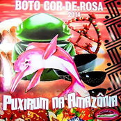Puxirum na Amazônia