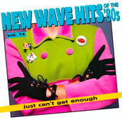 Just Can't Get Enough: New Wave Hits Of The '80s, Vol. 14