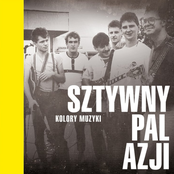 Kolory muzyki: Sztywny Pal Azji