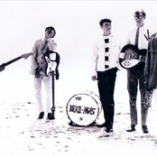 the beachnuts