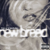 New Breed