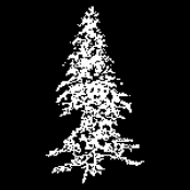 It's Christmas Tonight