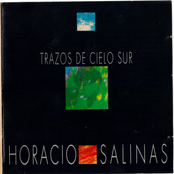 Trazos de Cielo Sur