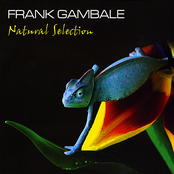 Good Morning Sunshine by Frank Gambale