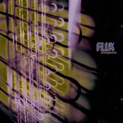 Unknown Codes by Flux