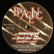 Animal / Feel For You (Muffler Remix)