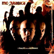 mc arabica