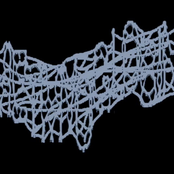 metmyoglobin