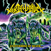 War Is Hell by Toxic Holocaust