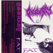 Ossuary: Fat