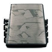 Auen Ansici / Bardachd