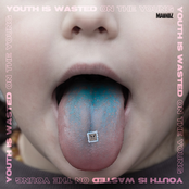 Youth Is Wasted On The Young