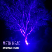 Meth Head