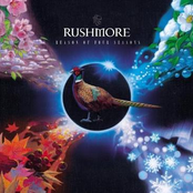 More Than Ever by Rushmore