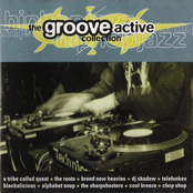 The Groove Active Collection