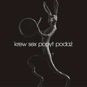 Krew, Sex, Popyt, Podaż