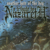 Another Hair Of The Dog - A Tribute To Nazareth