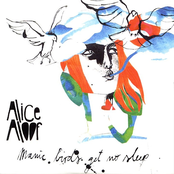 Manic Birds Get No Sleep