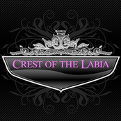 Crest Of The Labia