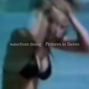 Pictures in Stereo