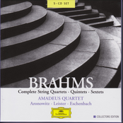 Brahms: Complete String Quartets, Quintets & Sextets