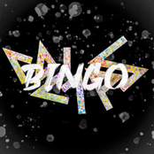 Bingo