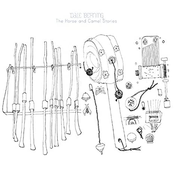 The Horse And Camel Stories