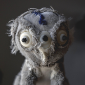 (a)ugust and everything after