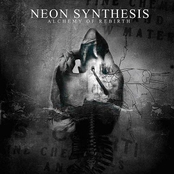 Through The Looking Glass by Neon Synthesis